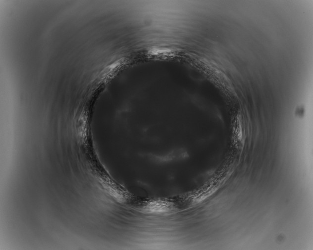 X0000100220708200806131314