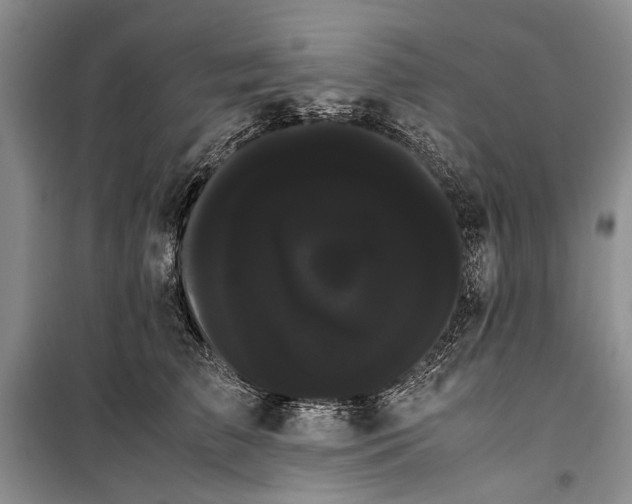 X0000100220709200806131314