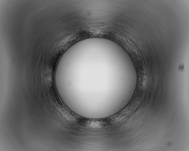 X0000100220710200806131314