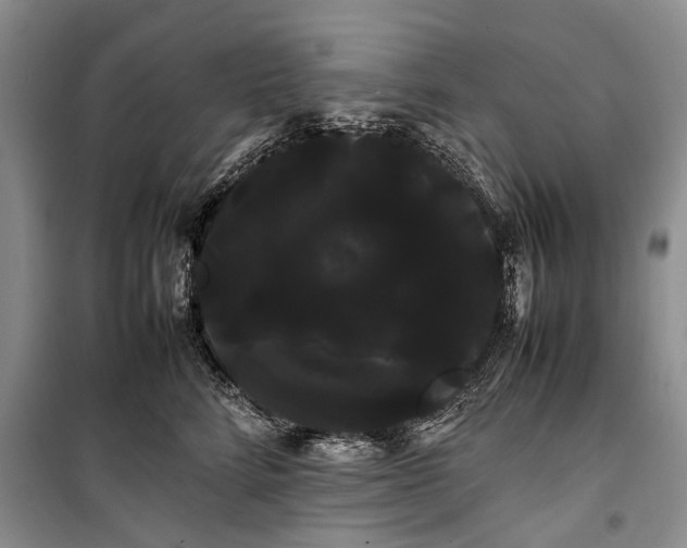 X0000100220712200806131314