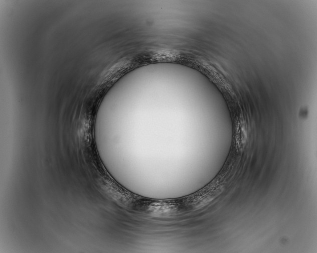 X0000100220714200806131314