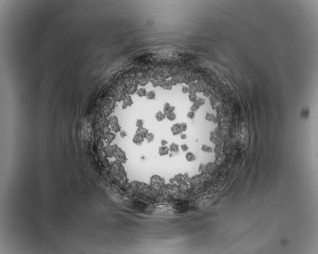 X0000100220715200806131314