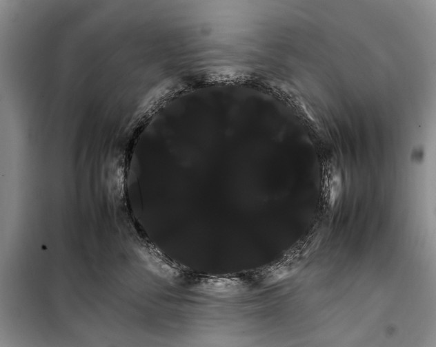 X0000100220716200806131314