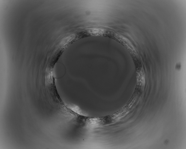 X0000100220717200806131314