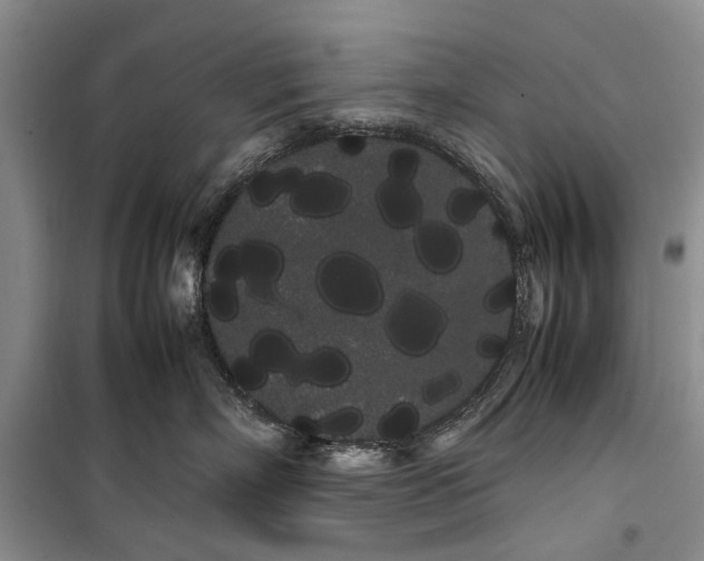 X0000100220718200806131314