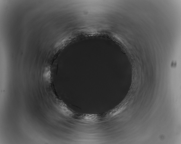 X0000100220720200806131314