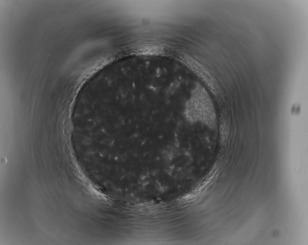 X0000100220721200806131313