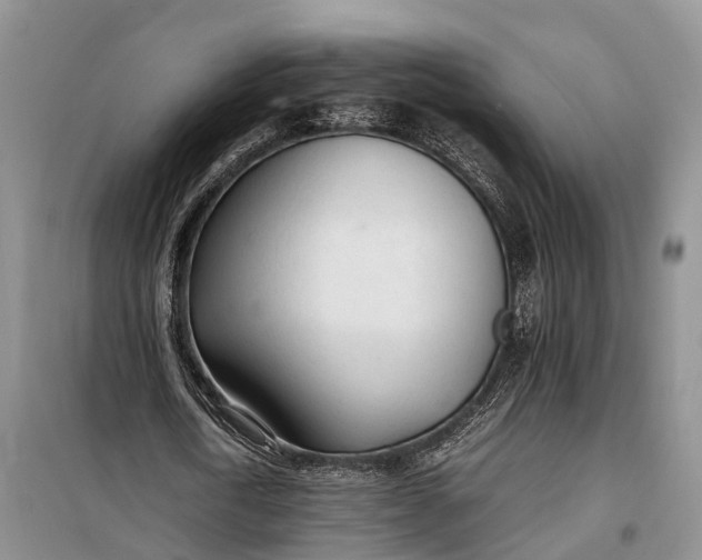 X0000100220722200806131314