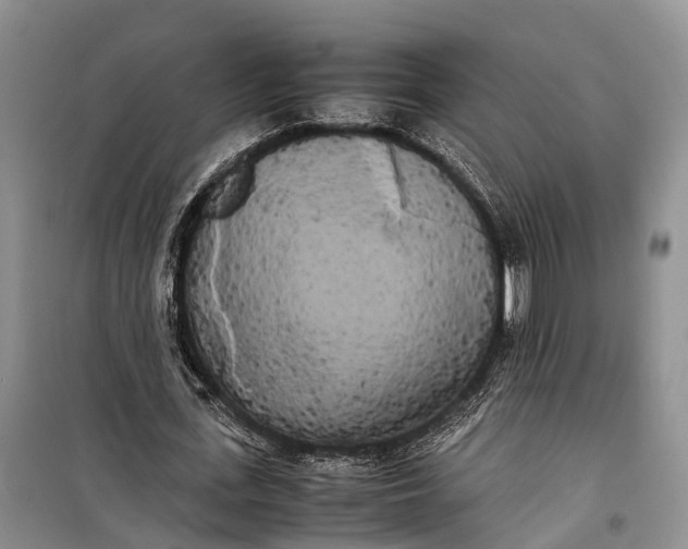 X0000100220723200806131314