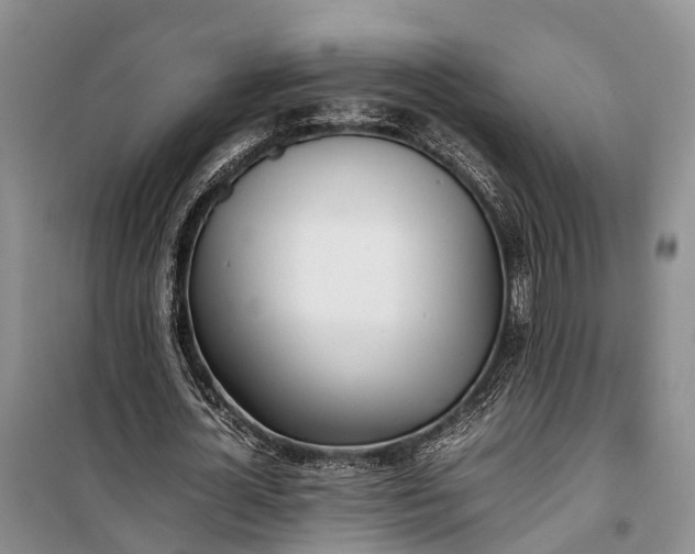 X0000100220724200806131314