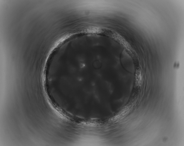 X0000100220726200806131314