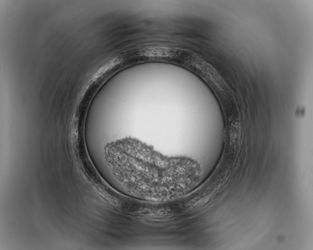 X0000100220727200806131314