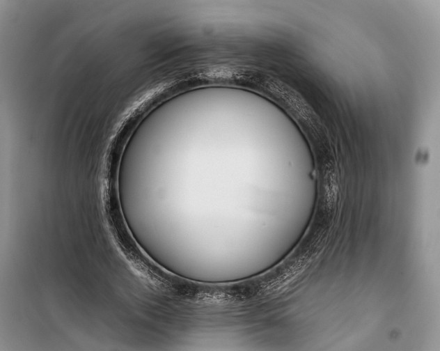 X0000100220728200806131314