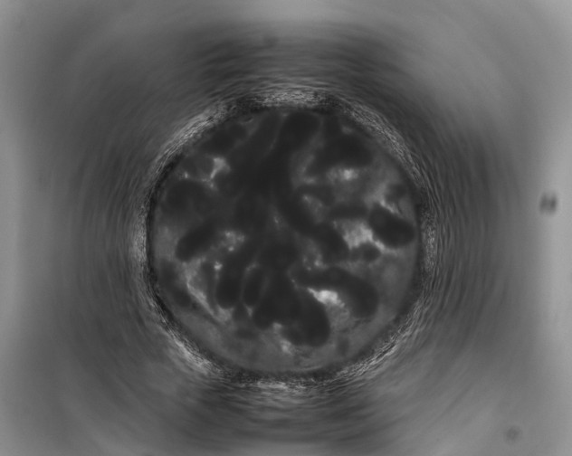 X0000100220729200806131314