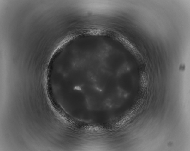 X0000100220730200806131314