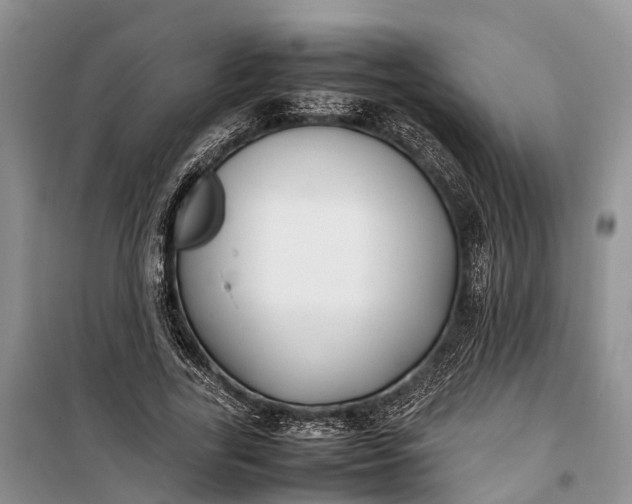 X0000100220731200806131314