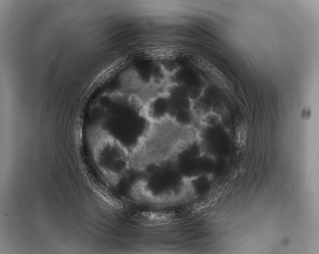 X0000100220733200806131314