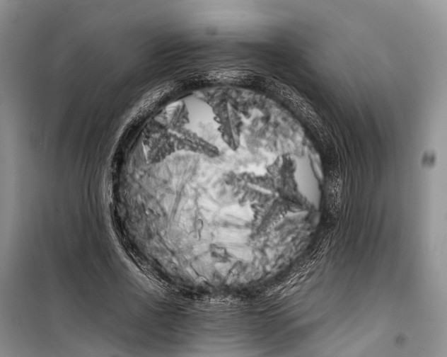 X0000100220734200806131314