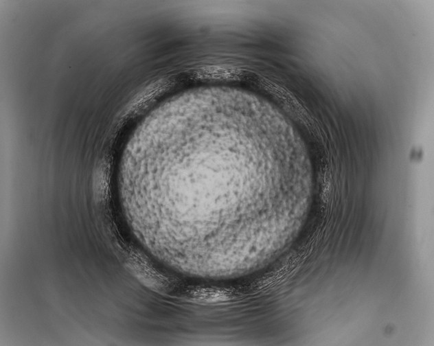 X0000100220735200806131314