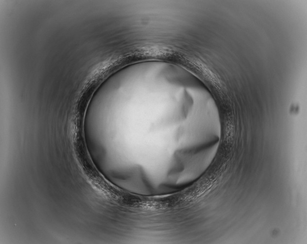 X0000100220736200806131314