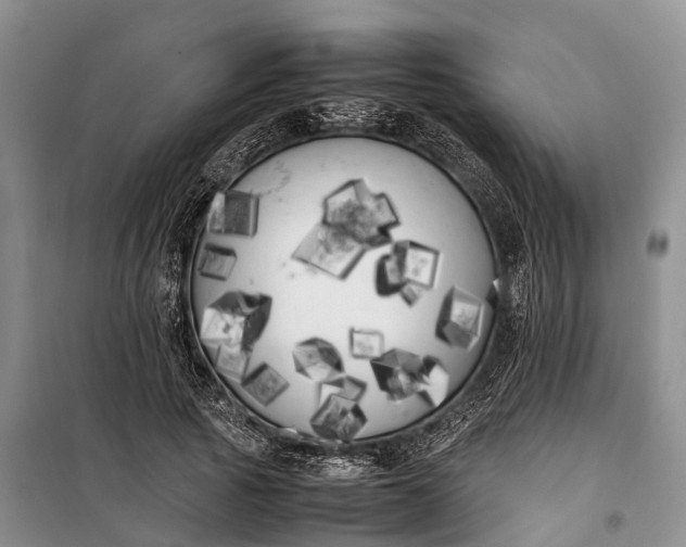 X0000100220737200806131314