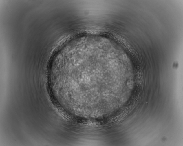 X0000100220738200806131314