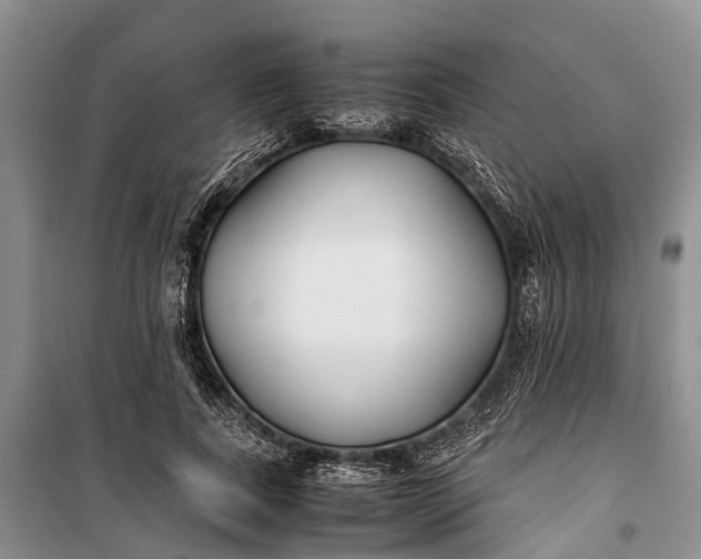 X0000100220739200806131314