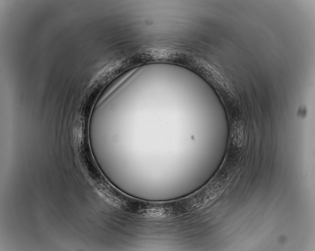 X0000100220740200806131314