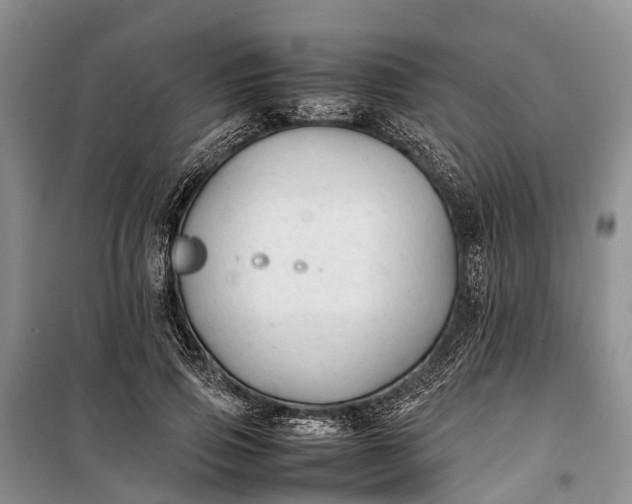 X0000100220741200806131314