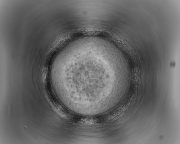 X0000100220742200806131314