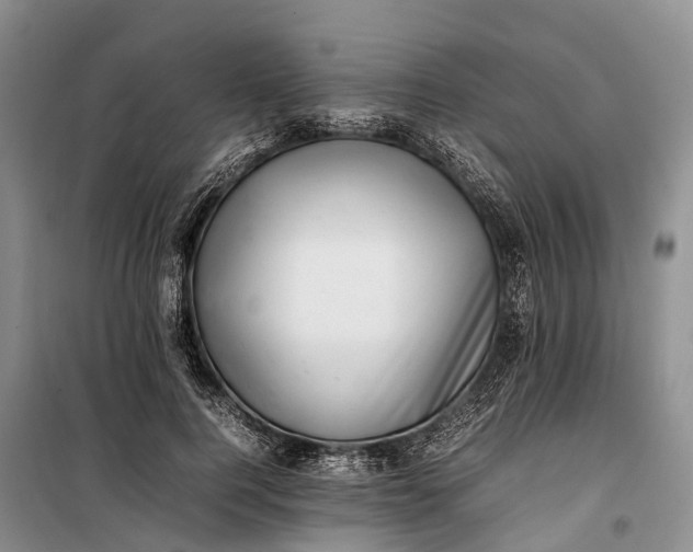 X0000100220744200806131314