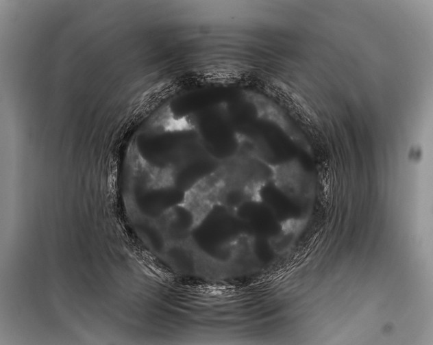 X0000100220745200806131314