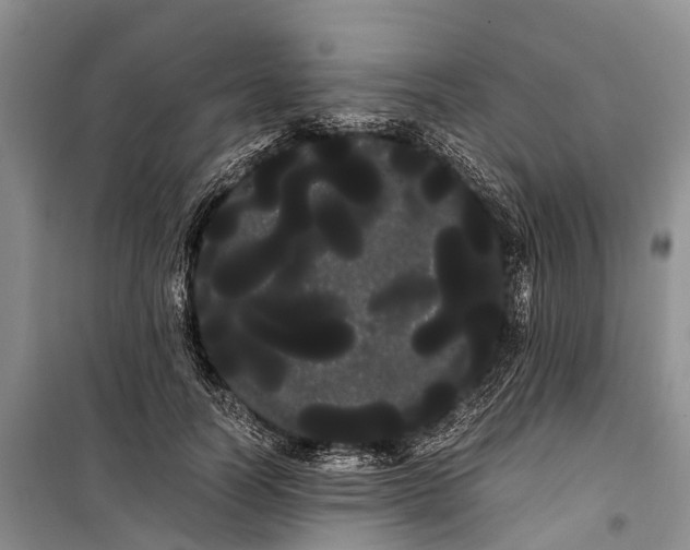 X0000100220746200806131314