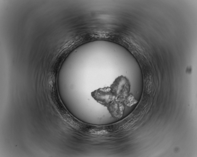 X0000100220747200806131314