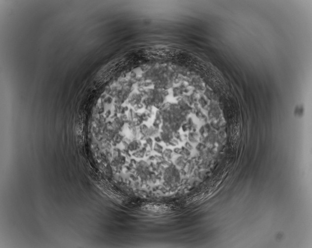 X0000100220749200806131314