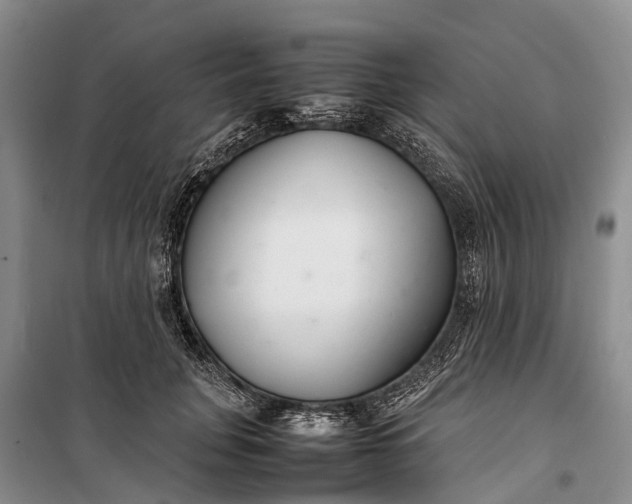 X0000100220751200806131314