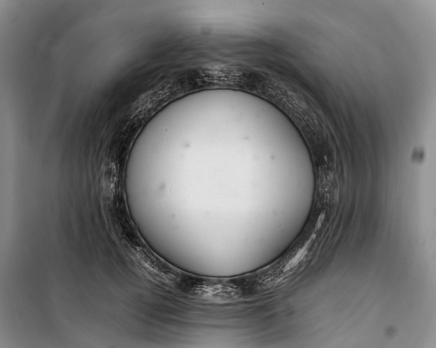 X0000100220752200806131314