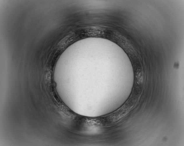 X0000100220753200806131314