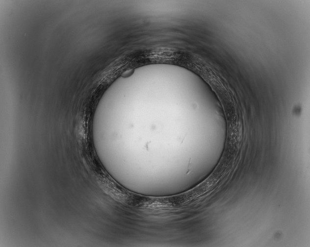 X0000100220755200806131314