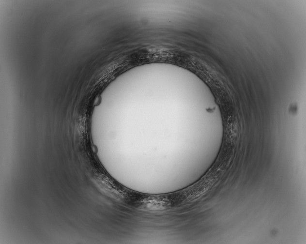 X0000100220756200806131314