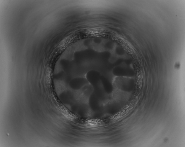 X0000100220757200806131314