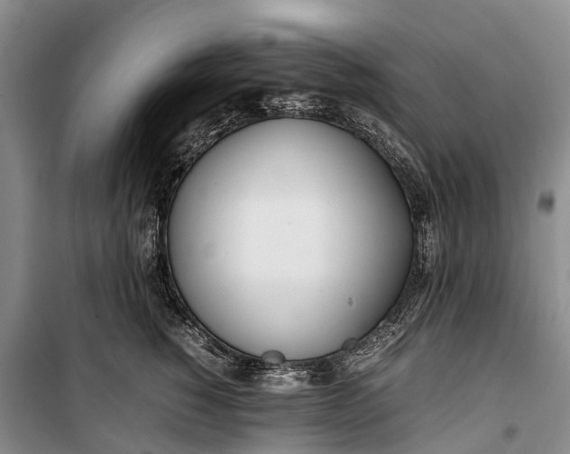 X0000100220760200806131314