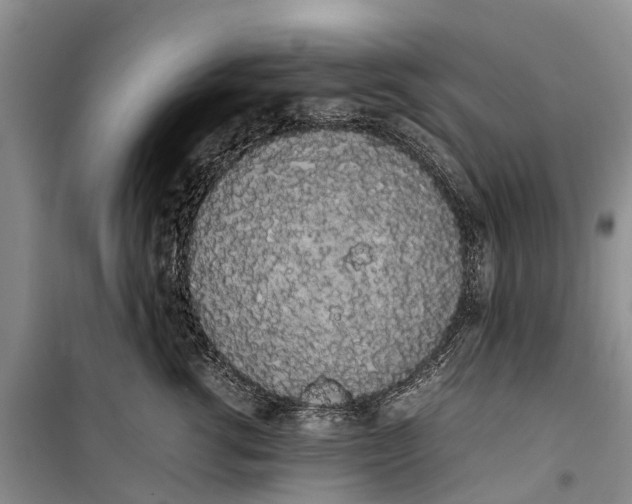 X0000100220762200806131314