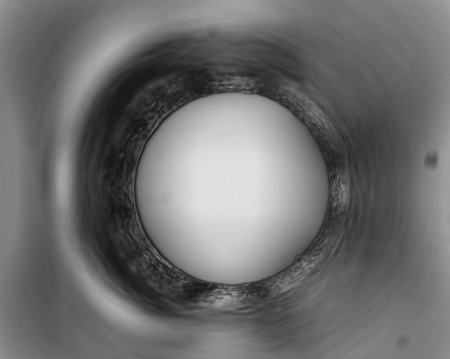 X0000100220764200806131314