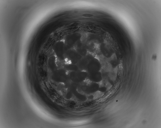 X0000100220765200806131314