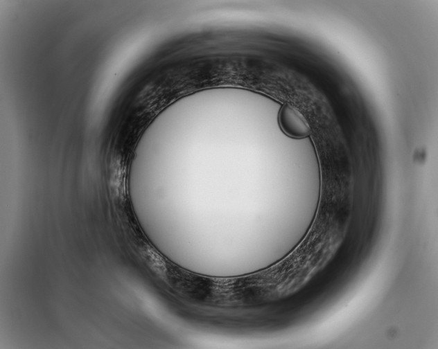 X0000100220766200806131314