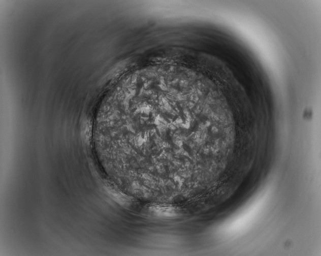 X0000100220767200806131314