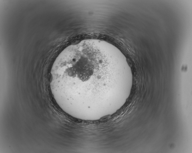 X0000100220769200806131313