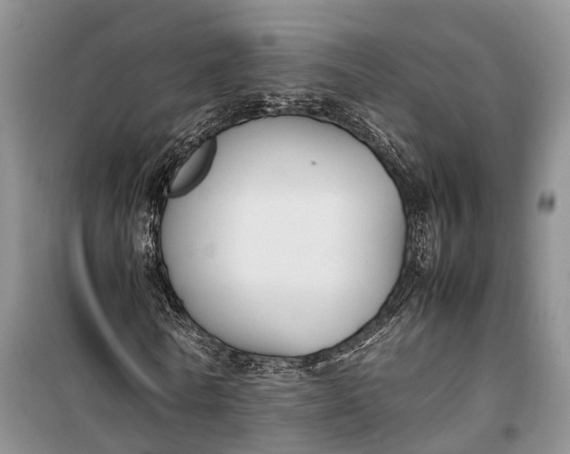 X0000100220770200806131313