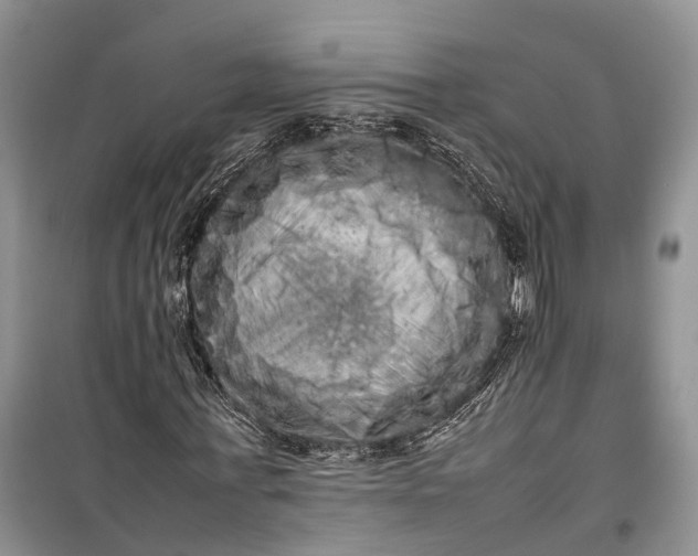 X0000100220771200806131313